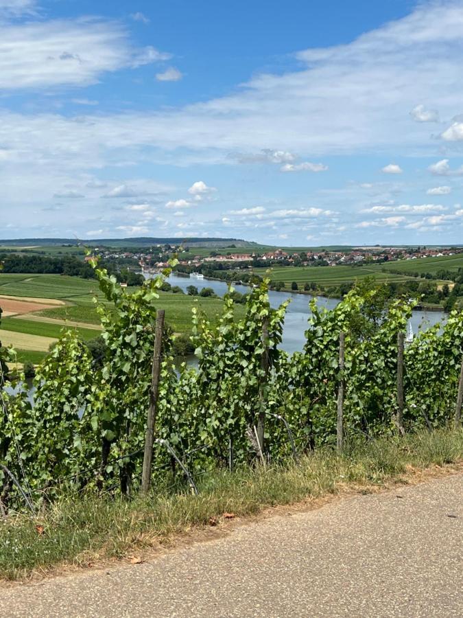 Loft Wohnung Appartement Auf 2 Etagen, Naehe Neckar Neckarwestheim Exteriér fotografie